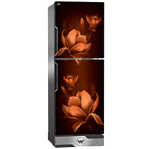 Walton Direct Cool Refrigerator 252L - WFB-2B6-GDSH-XX