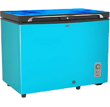 Walton Freezer 255L - WCG-2E5-GDEL-XX