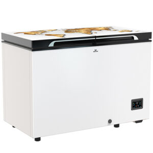 Walton Freezer 300L - WCG-3J0-GDDB-XX (Inverter)