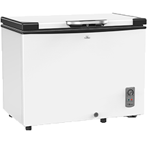 Walton Freezer 255L - WCG-2E5-EHLX-XX