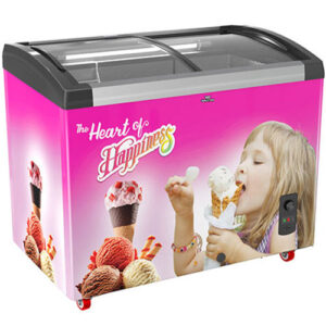 Walton Ice Cream Freezer 270L - WCG-2G0-CGXX-XX