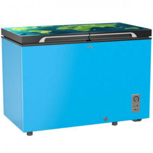 Walton Freezer 300L - WCG-3J0-DDGE-XX